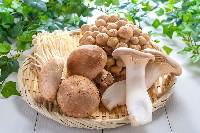 【不足しやすい栄養素を補う！】きのこを追加するだけで食事バランスがよくなる理由