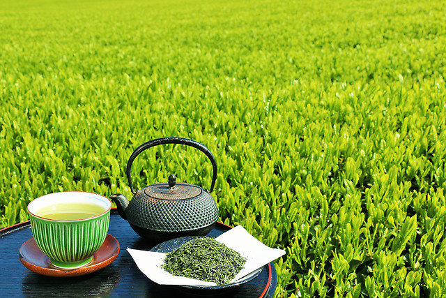 【甘くて爽やかな美味しさ】今が旬の新茶の魅力と楽しみ方