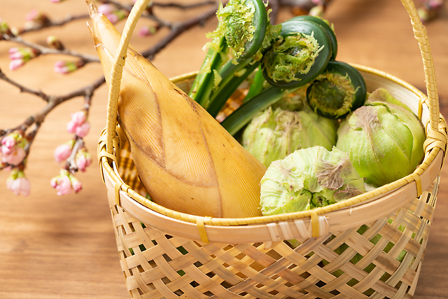 【管理栄養士おすすめ】旬の「春野菜」を使った1週間献立