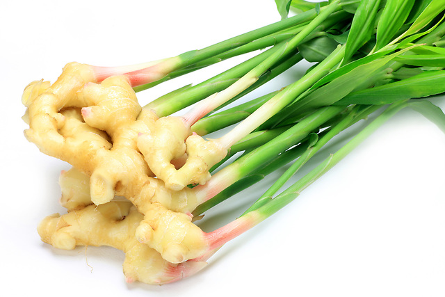 【静岡名物】葉しょうがの爽やかな辛さと鮮やかな見た目で食卓を華やかにしませんか？