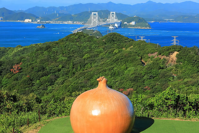 【兵庫名物】甘くておいしい淡路島玉ねぎを食べよう！