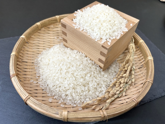 【主食をどう選ぶ?】ダイエット中でもOK◎主食の摂り方とおすすめレシピ