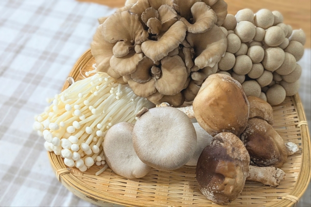 【きのこの魅力に迫る！】ダイエット中もおすすめ◎きのこのおいしい食べ方をご紹介！