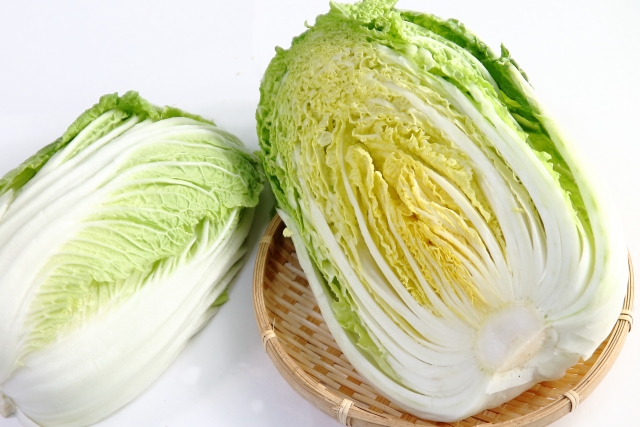 【万能◎白菜】白菜1個分で何作る？管理栄養士考案レシピ5選